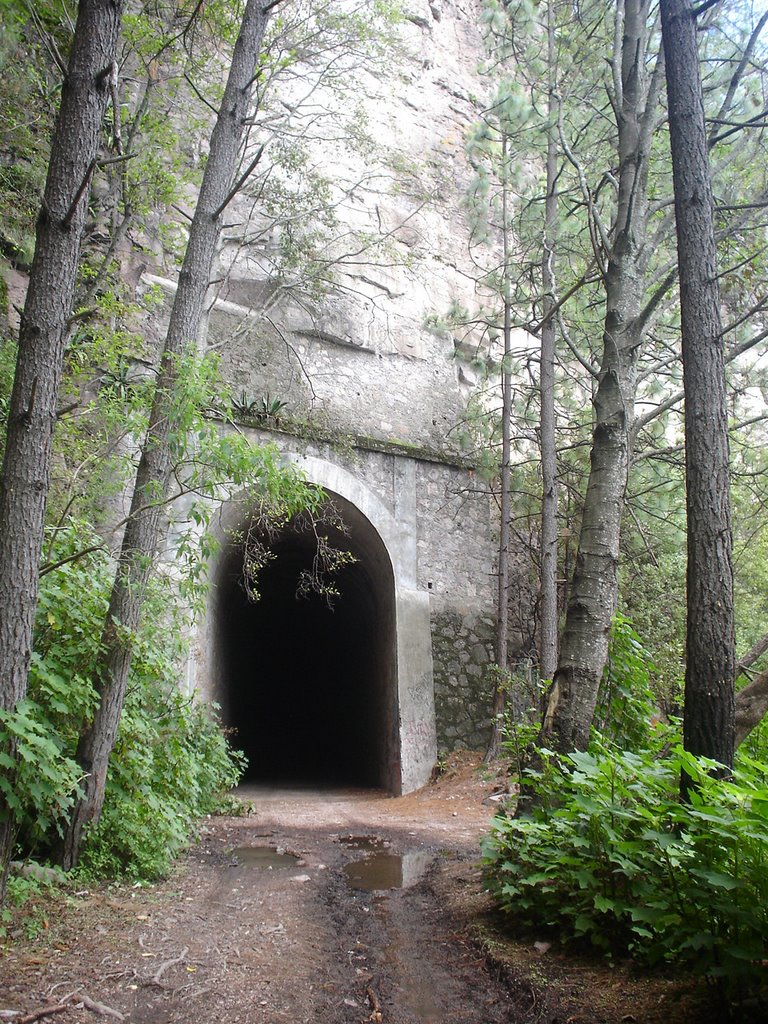 tuneles-mexiquillo-naturaleza-rocas-durango