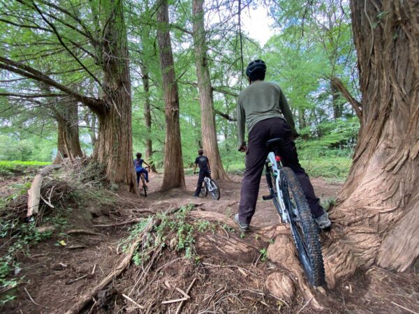 Bici de Montaña