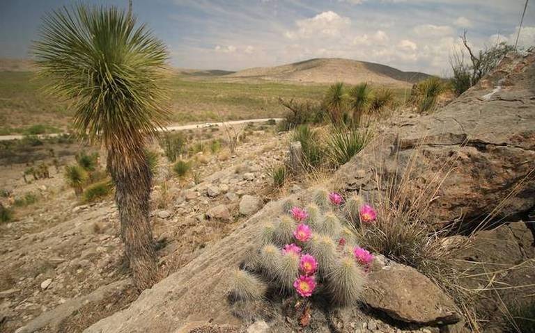 zona del silencio 2